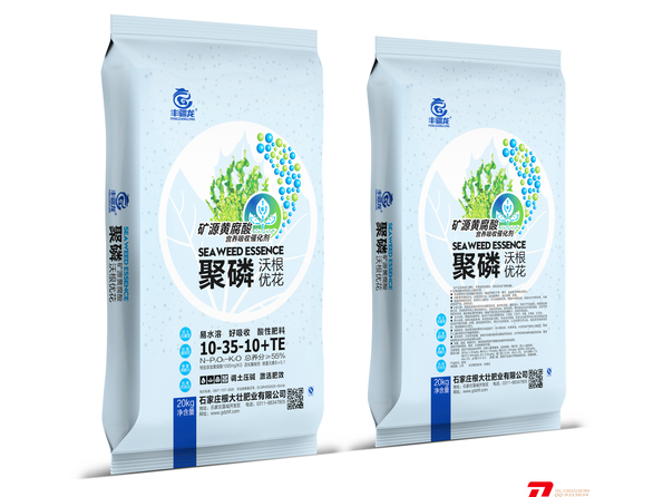 营养吸收催化剂